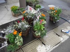 プランター作戦